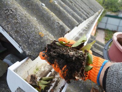 Innovative roof designs in Dorset