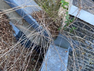 Trusted roof maintenance in Dorset