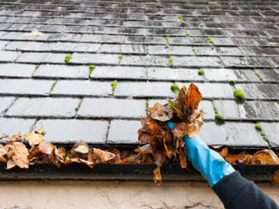 Experienced roof repair team in Dorset