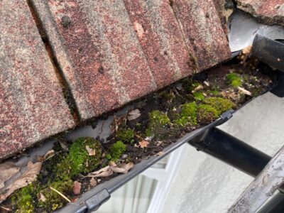 Professional roofing for flat roofs in Dorset