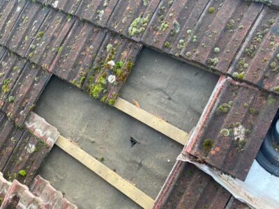 Environmentally friendly roofing in Dorset