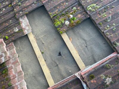 Roof and gutter cleaning in Dorset