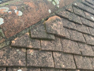 Comprehensive roof care in Dorset