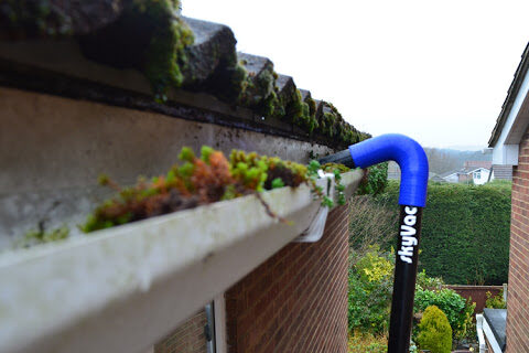 Specialists in Dorset Guttering Cleaning