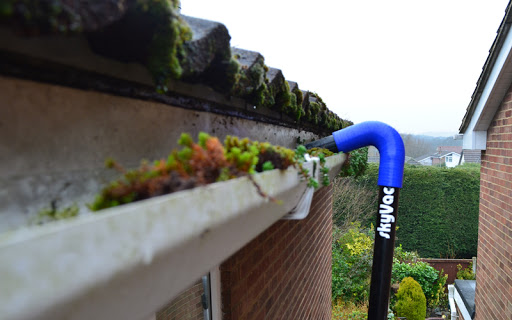 Gutter cleaning company near Dorset