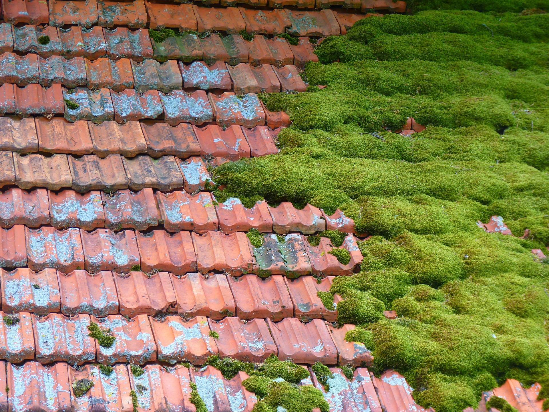 Trusted flat roof experts in Dorset