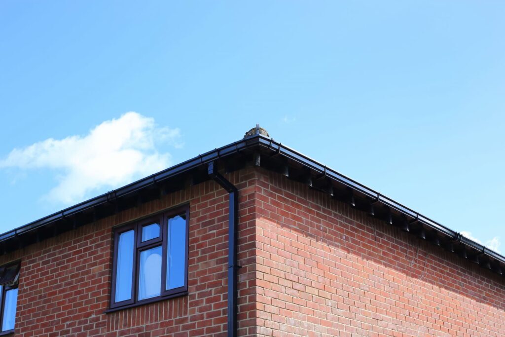 Local gutter cleaning company in Dorset