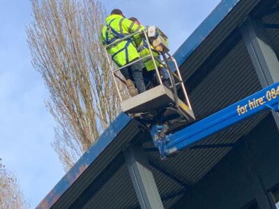 Efficient roof moss removal in Dorset