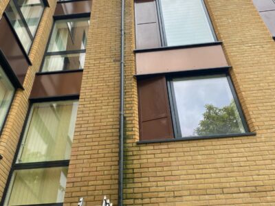 Specialist roof restoration in Dorset