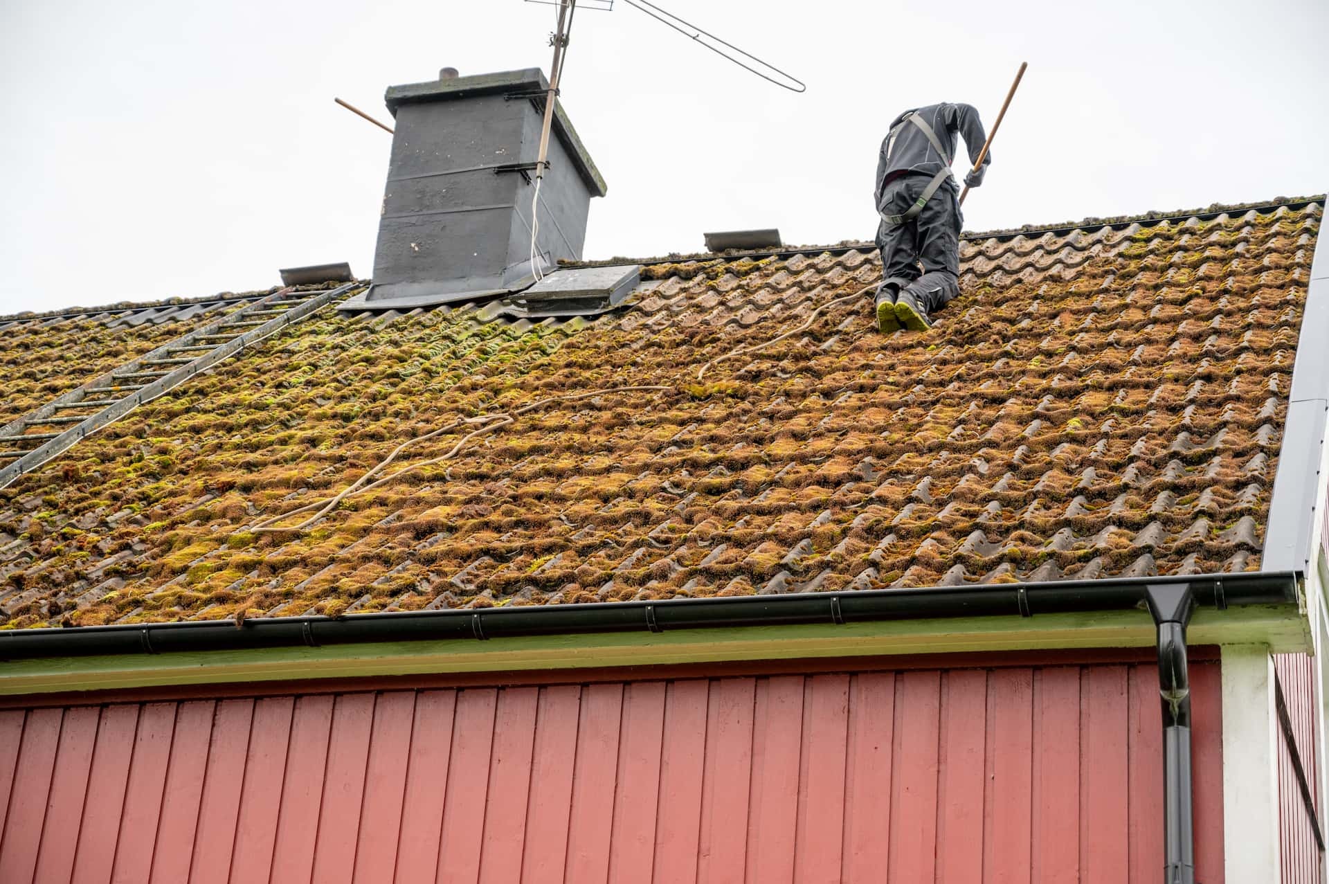Durable roof installations in Dorset